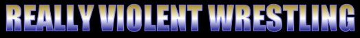 RVW: Really Violent Wrestling